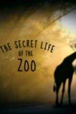 Watch The Secret Life of the Zoo Megavideo