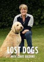 Watch Lost Dogs Live with Clare Balding Megavideo