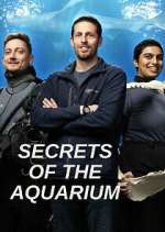 Watch Secrets of the Aquarium Megavideo