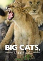 Watch Big Cats, Small World Megavideo