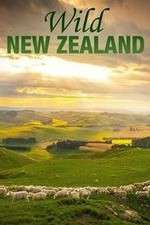 Watch Wild New Zealand Megavideo